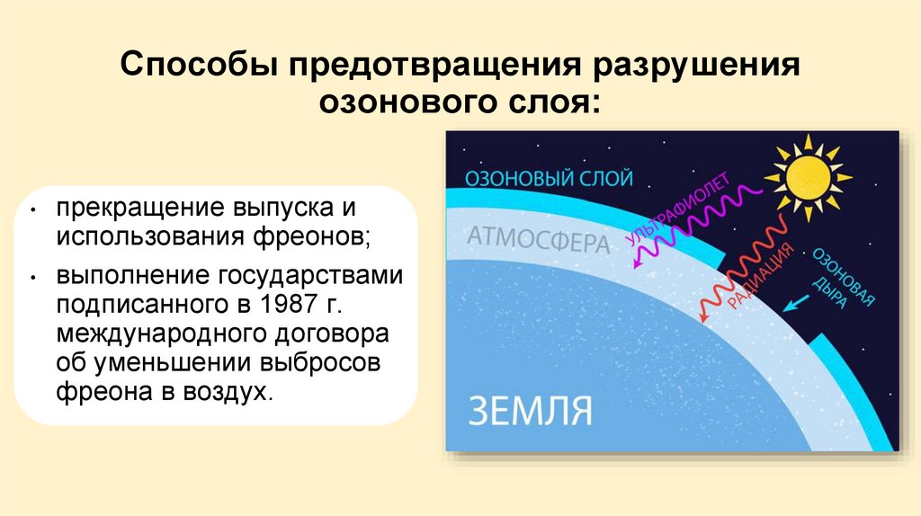 Способы предотвращения разрушения озонового слоя: