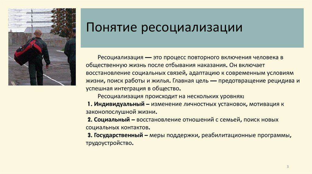 Понятие ресоциализации