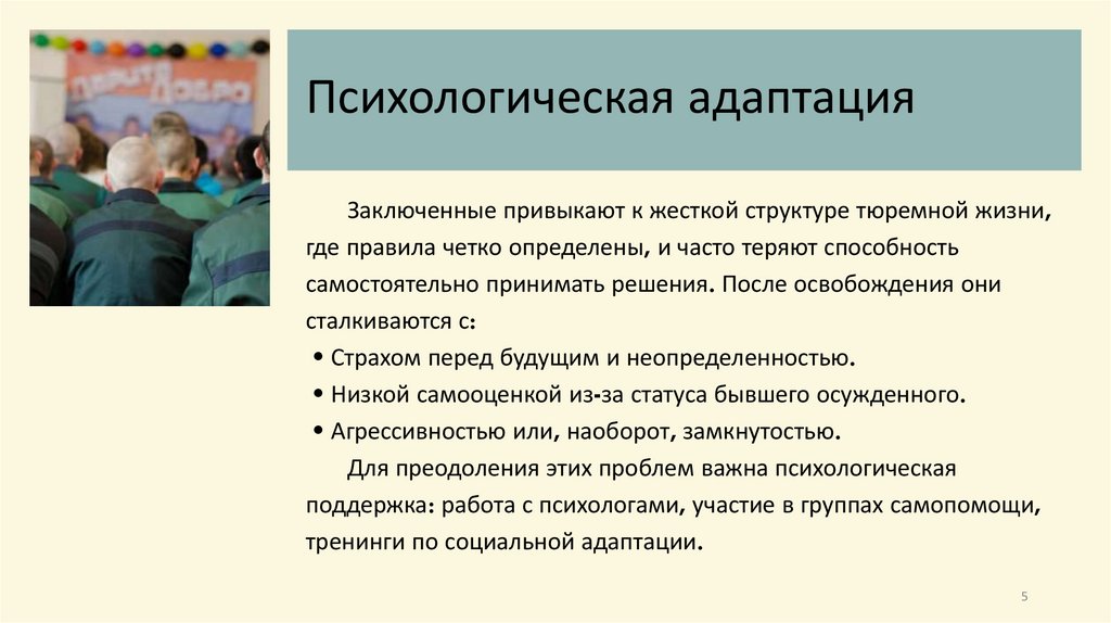 Психологическая адаптация