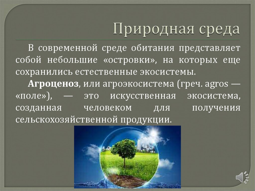 Природная среда