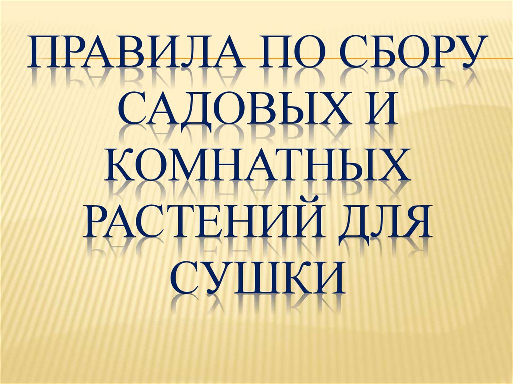 Правила по сбору садовых и комнатных растений для сушки