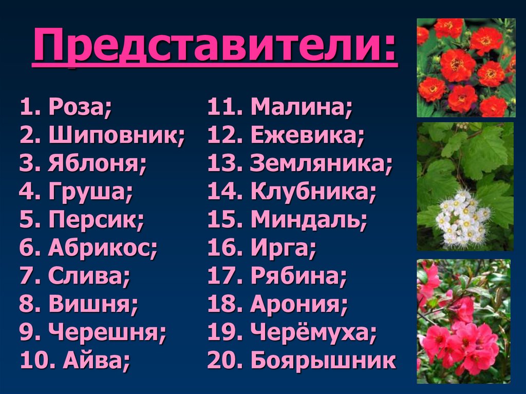 Представители: