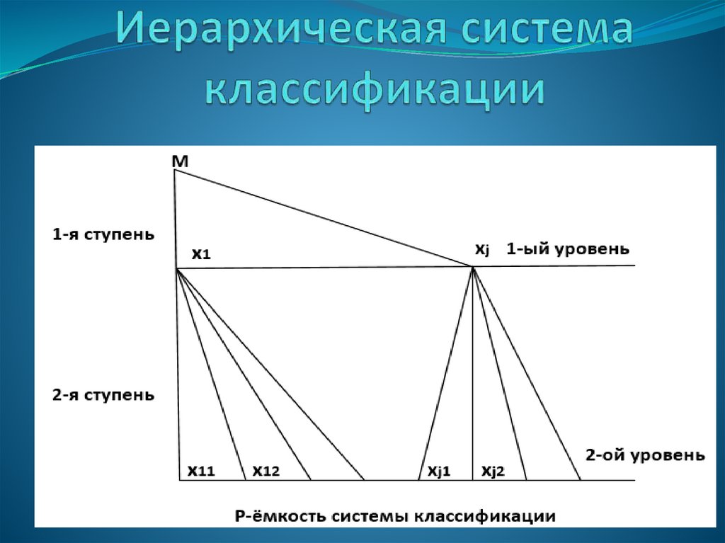 Иерархическая система классификации