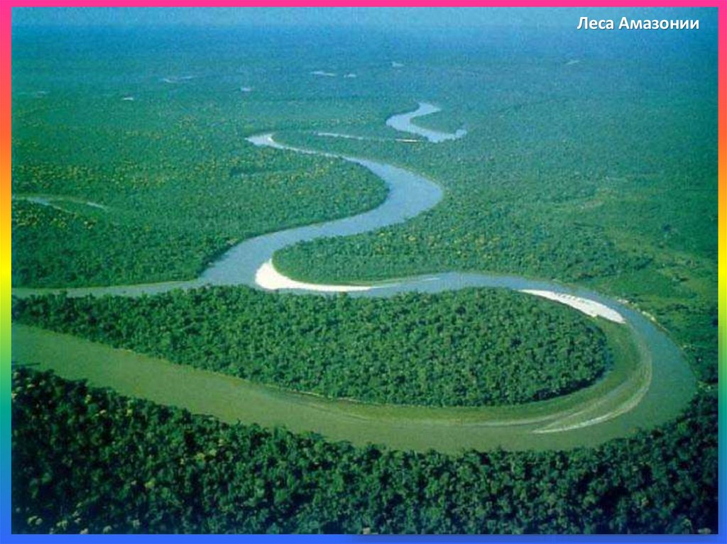 Лесные ресурсы