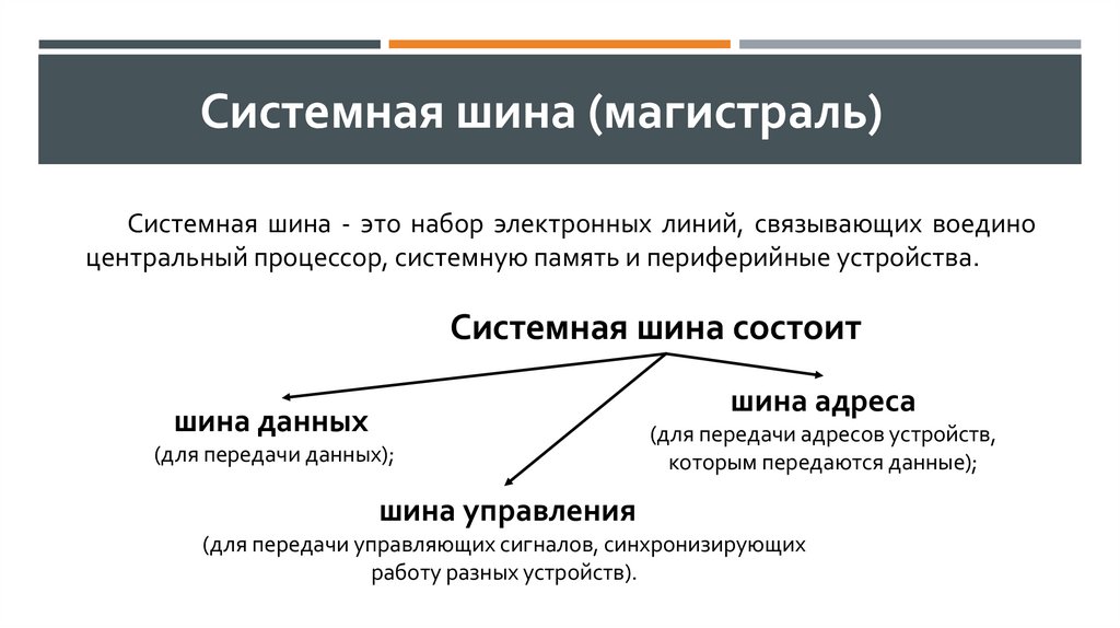 Системная шина (магистраль)