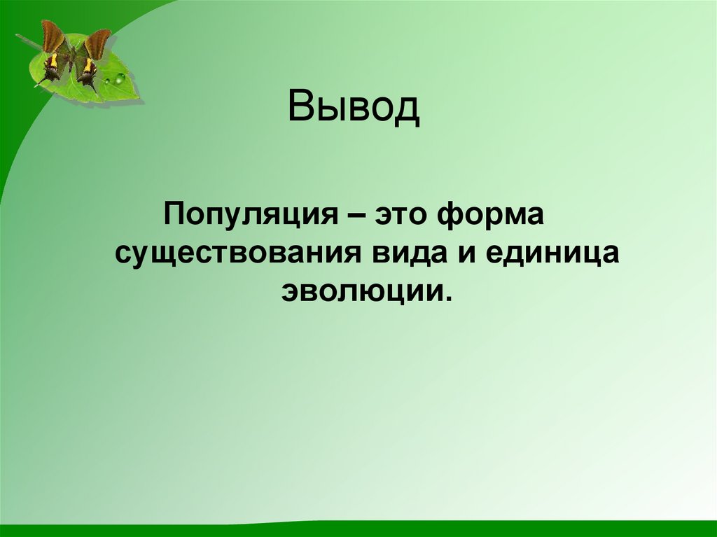 Вывод