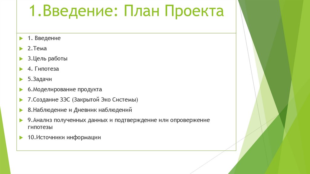 1.Введение: План Проекта