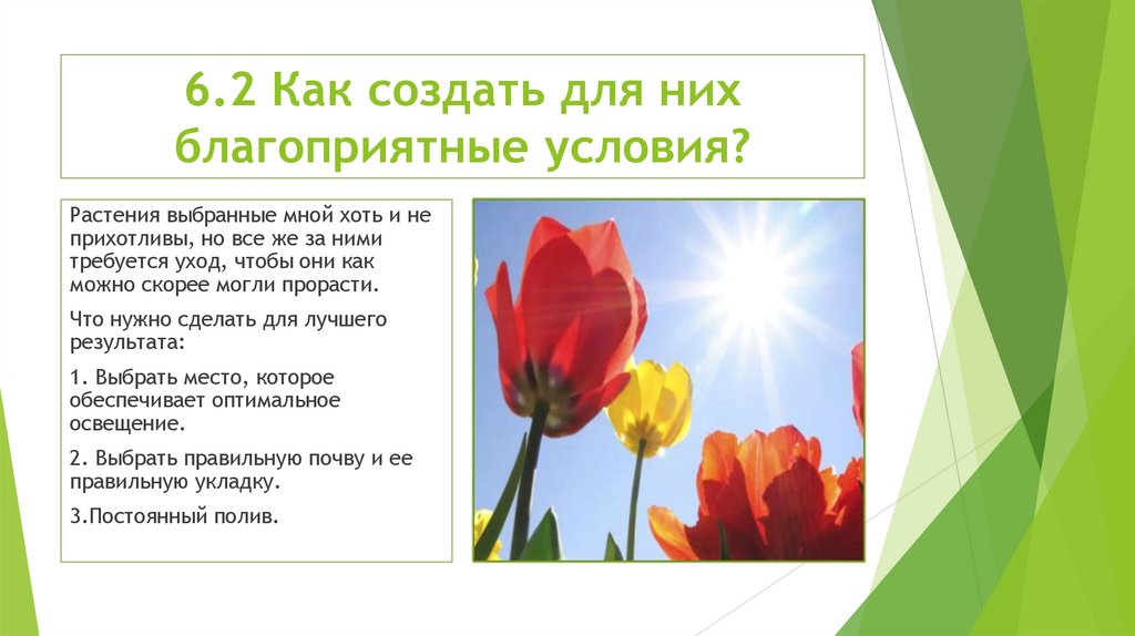 6.2 Как создать для них благоприятные условия?