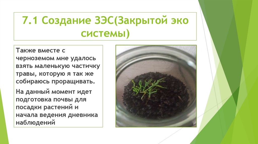 7.1 Создание ЗЭС(Закрытой эко системы)