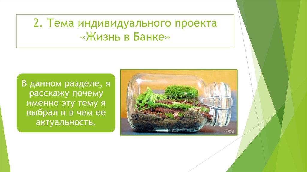 2. Тема индивидуального проекта «Жизнь в Банке»