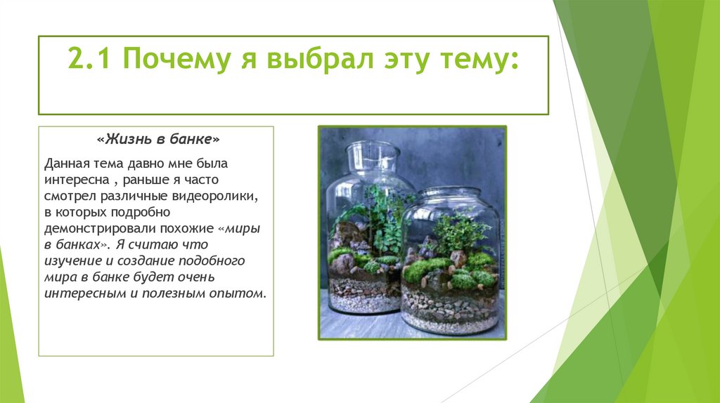 2.1 Почему я выбрал эту тему: