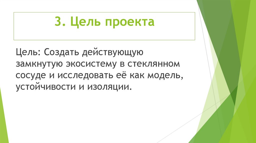 3. Цель проекта