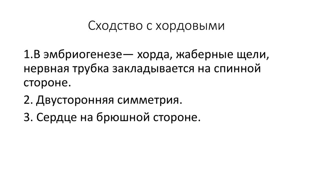 Сходство с хордовыми