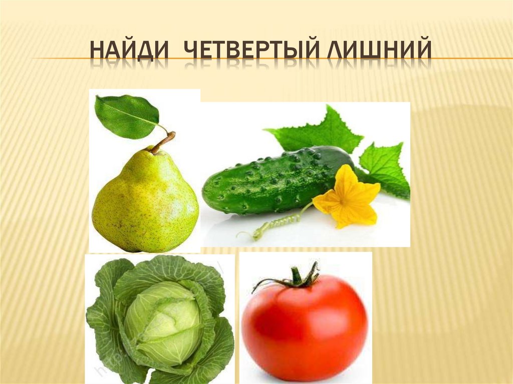 Найди четвертый лишний