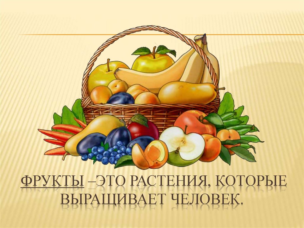 фрукты –это растения, которые выращивает человек.