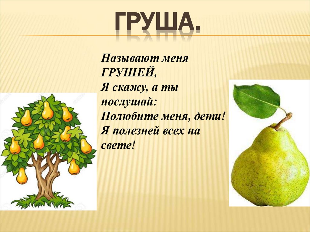Груша.