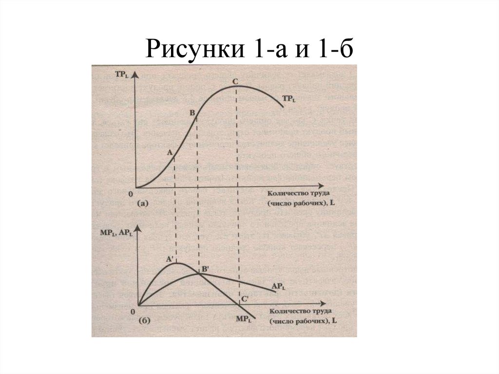 Рисунки 1-а и 1-б