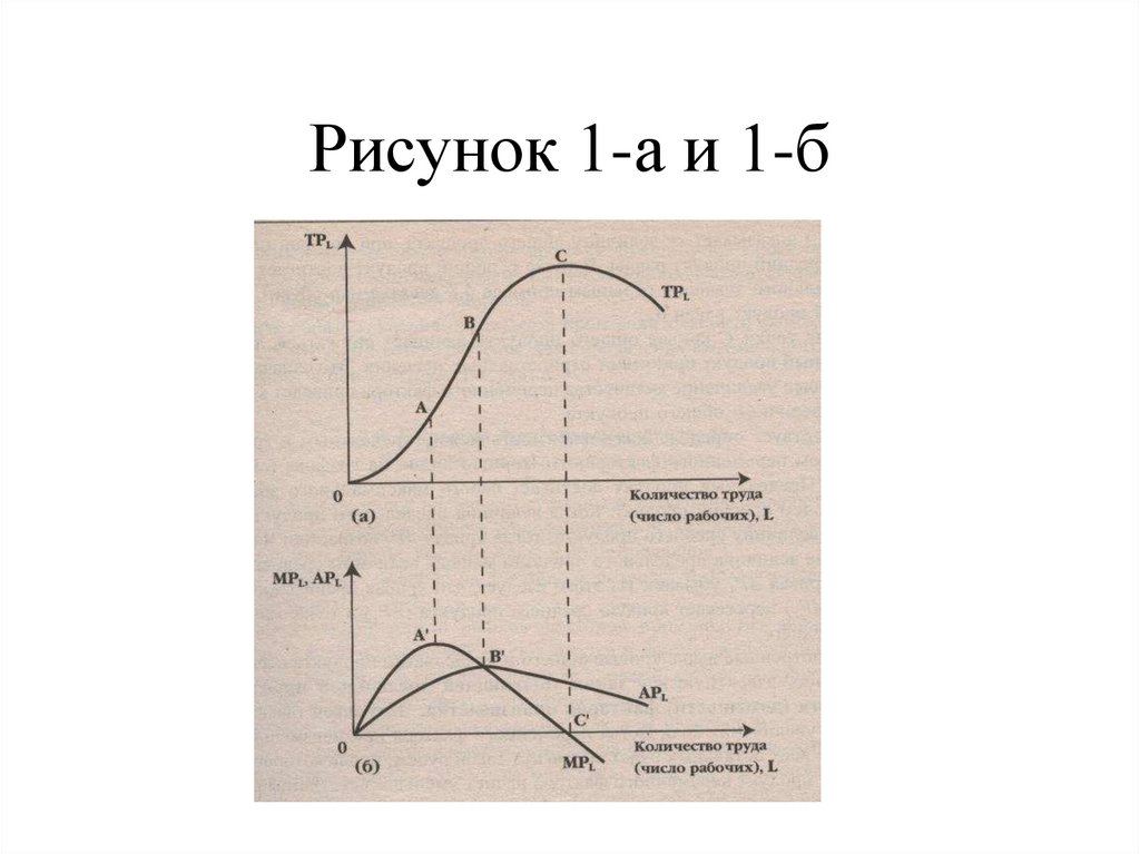 Рисунок 1-а и 1-б