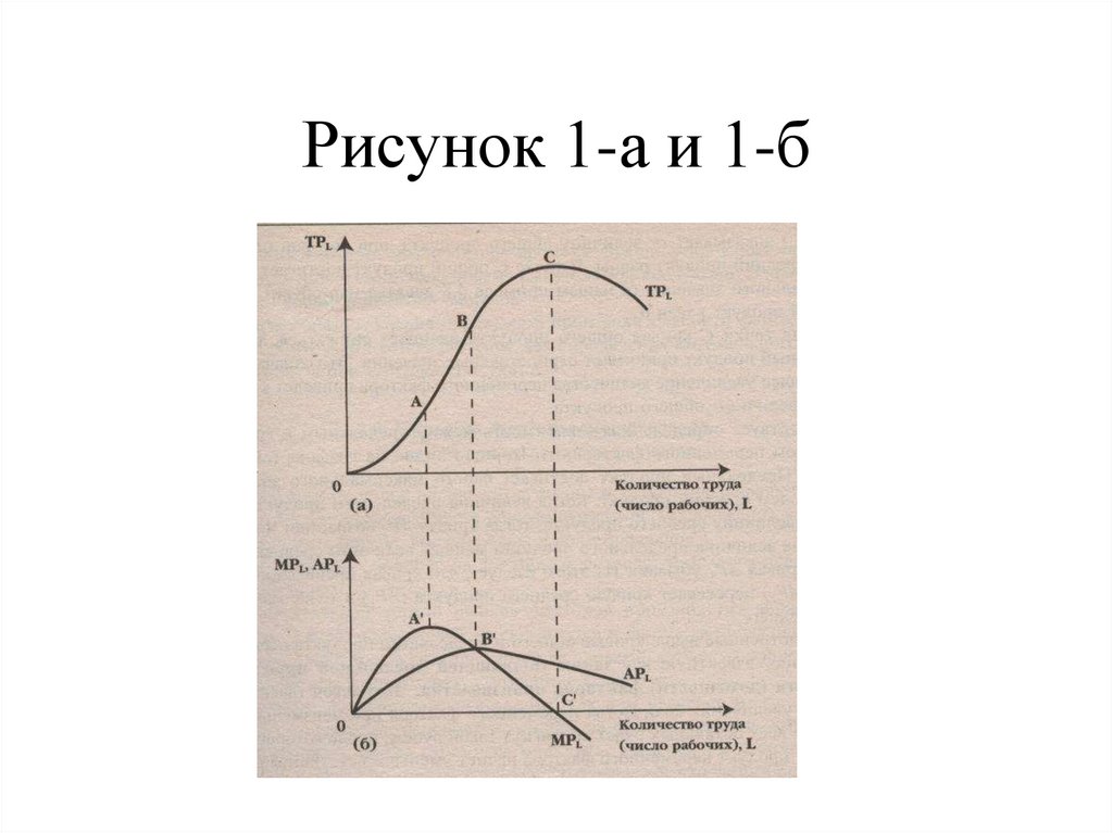 Рисунок 1-а и 1-б