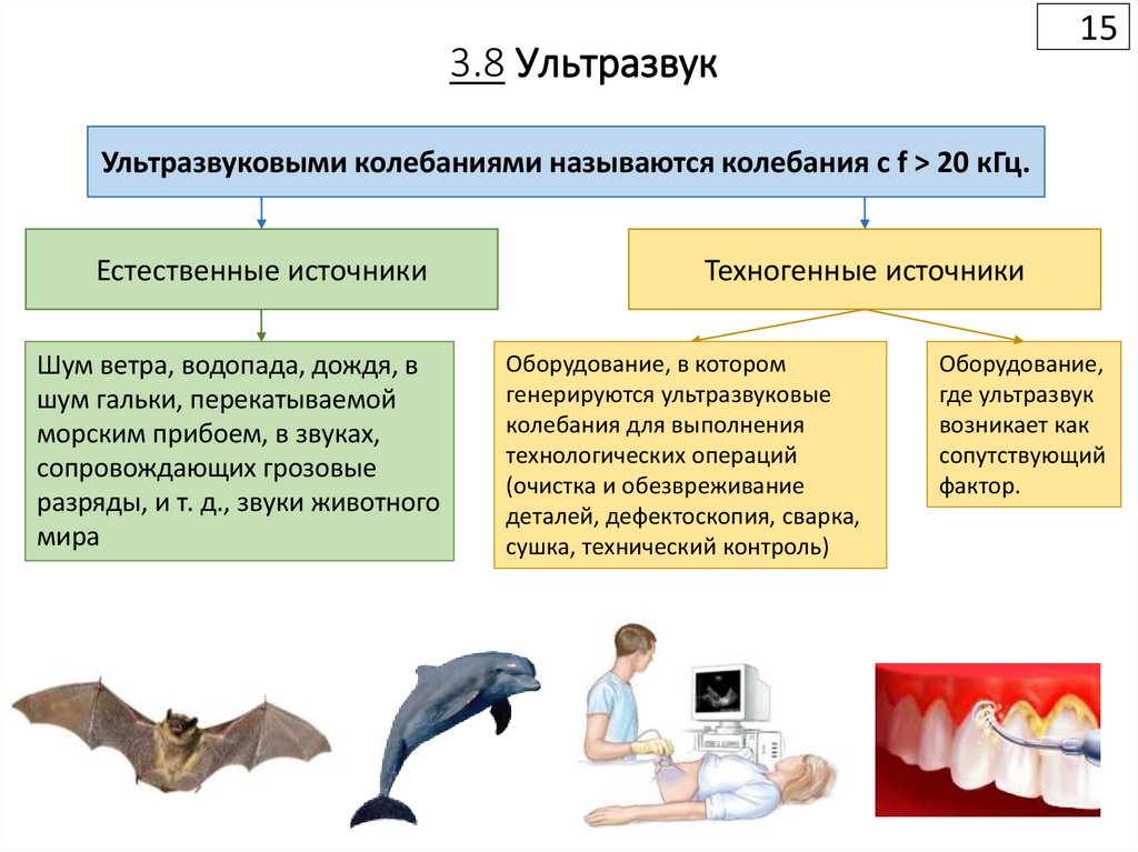 3.8 Ультразвук
