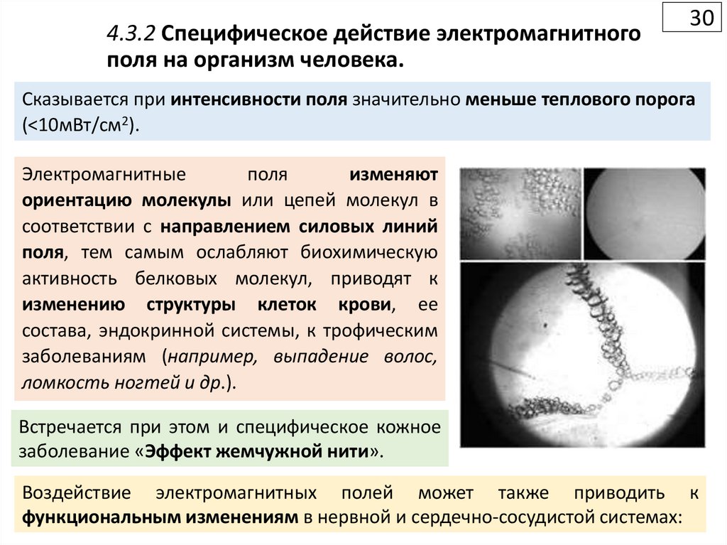 4.3.2 Специфическое действие электромагнитного поля на организм человека.