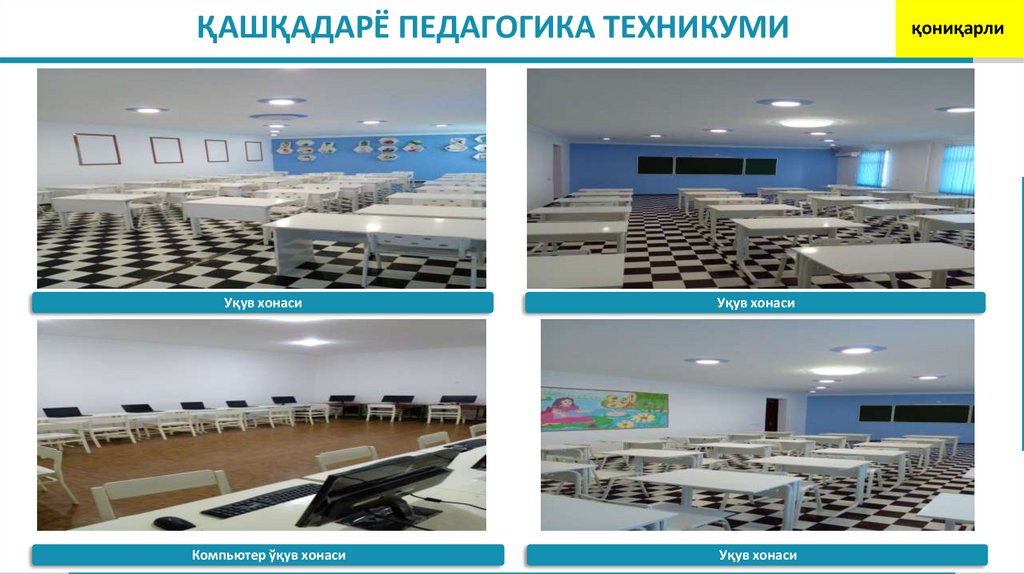ҚАШҚАДАРЁ ПЕДАГОГИКА ТЕХНИКУМИ