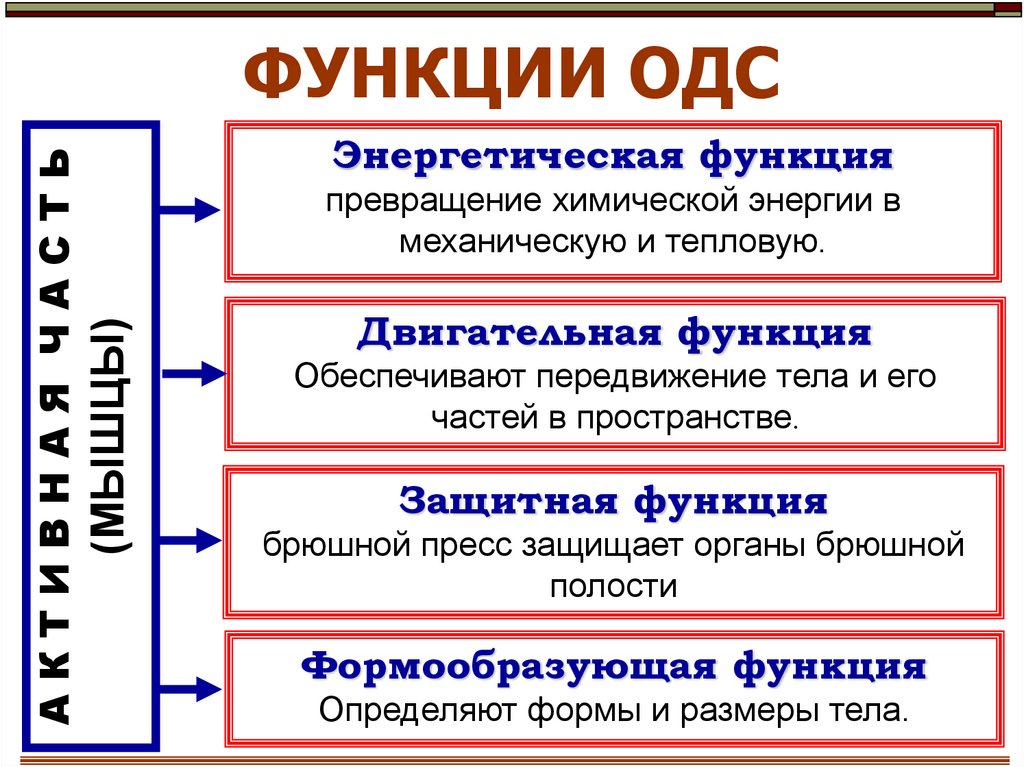 ФУНКЦИИ ОДС