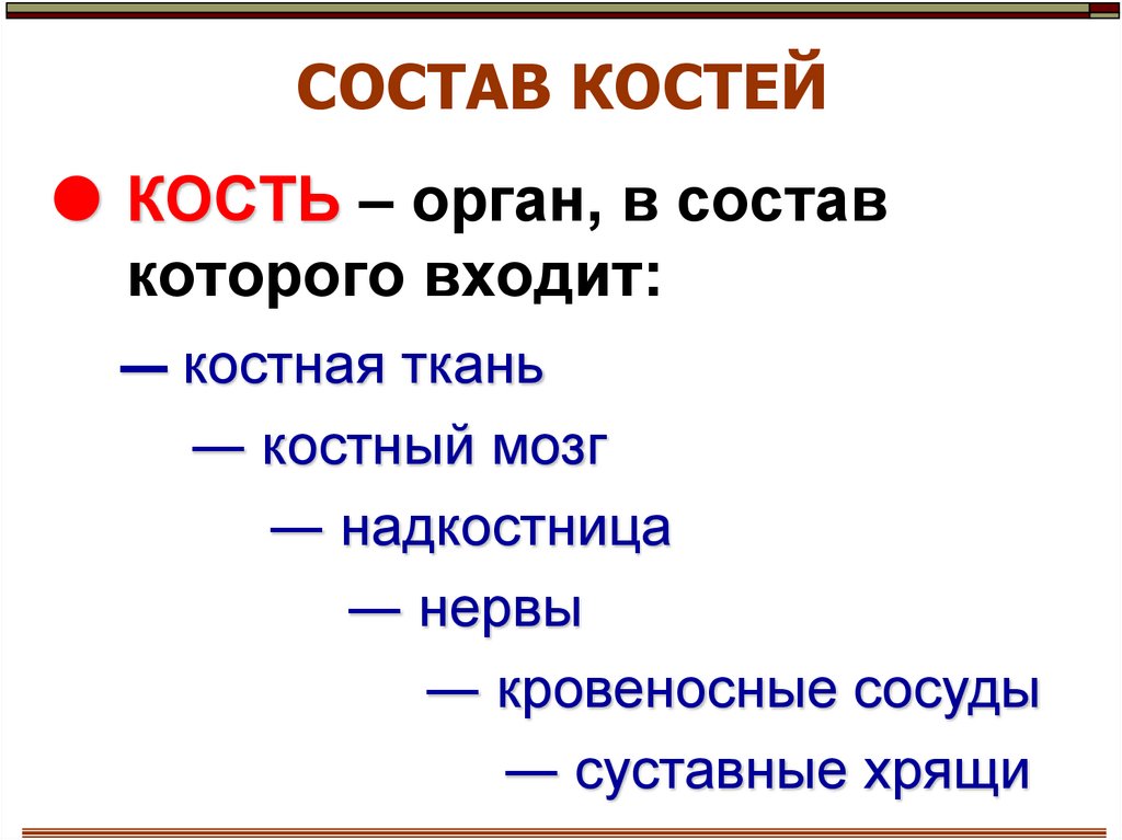 СОСТАВ КОСТЕЙ