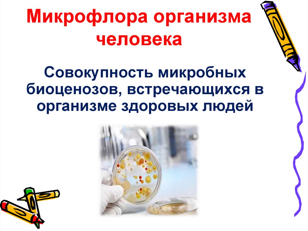 Микрофлора организма человека