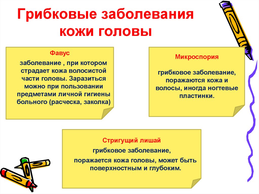 Грибковые заболевания кожи головы
