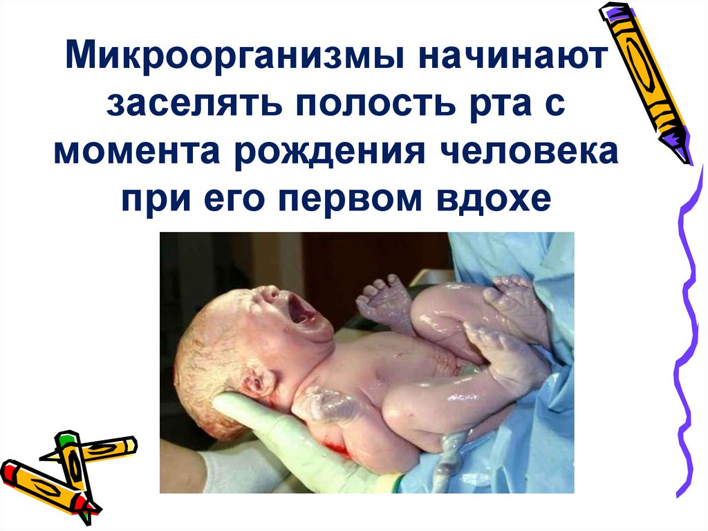 Микроорганизмы начинают заселять полость рта с момента рождения человека при его первом вдохе