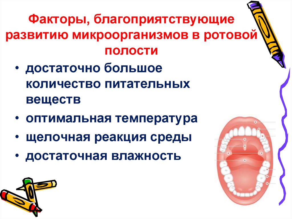 Факторы, благоприятствующие развитию микроорганизмов в ротовой полости