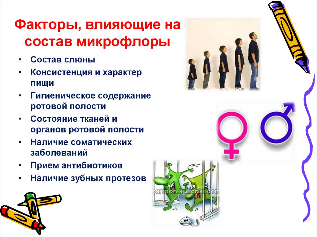 Факторы, влияющие на состав микрофлоры