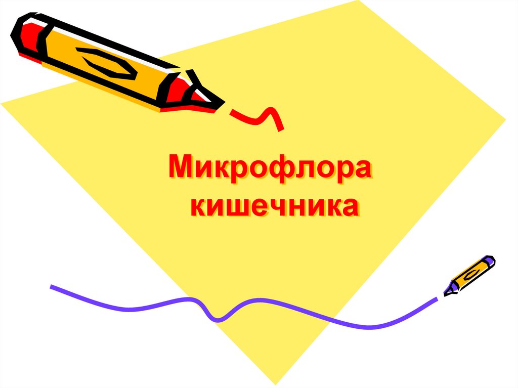 Микрофлора кишечника