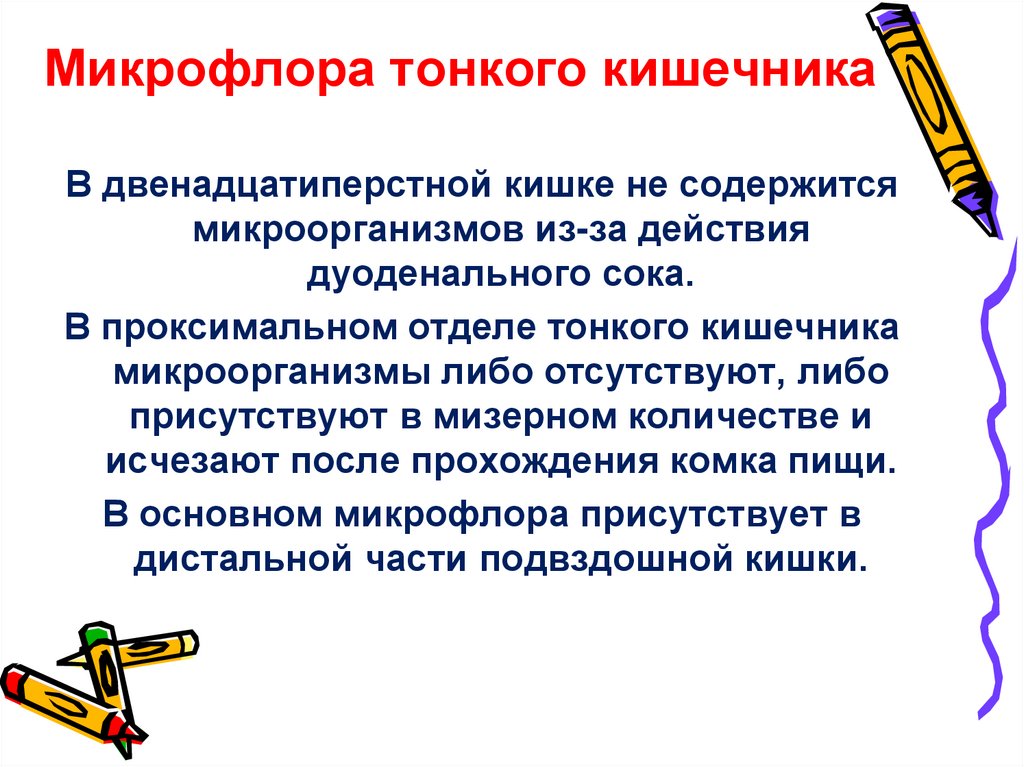Микрофлора тонкого кишечника