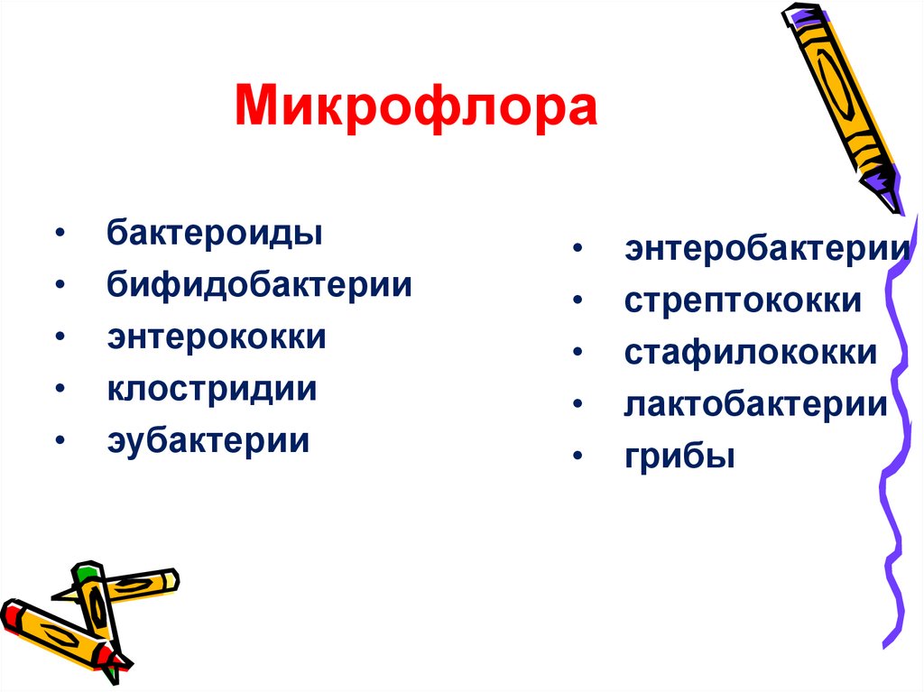 Микрофлора