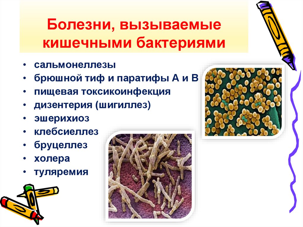 Болезни, вызываемые кишечными бактериями