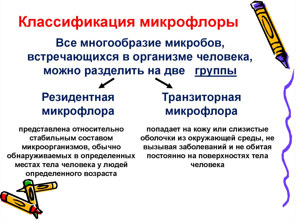 Классификация микрофлоры