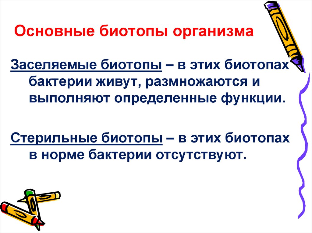 Основные биотопы организма