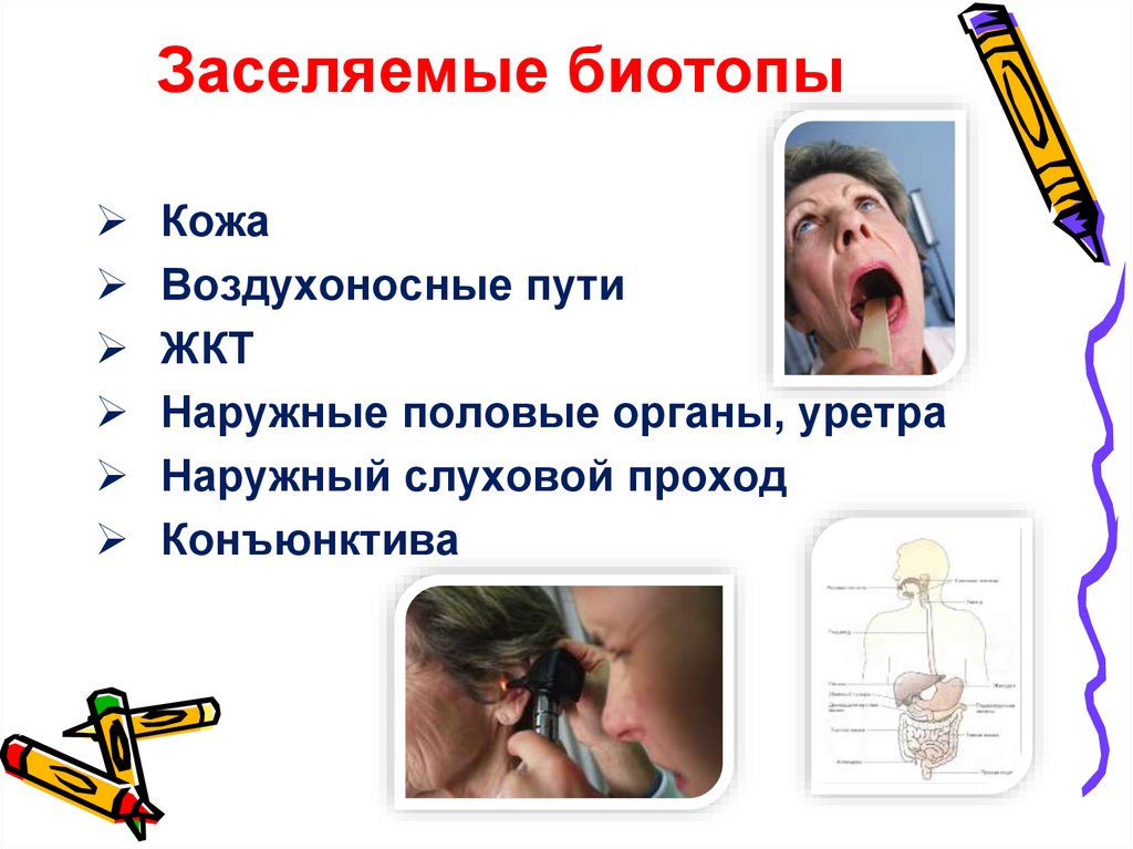 Заселяемые биотопы