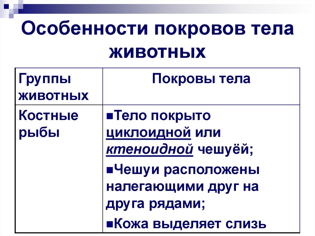 Особенности покровов тела животных