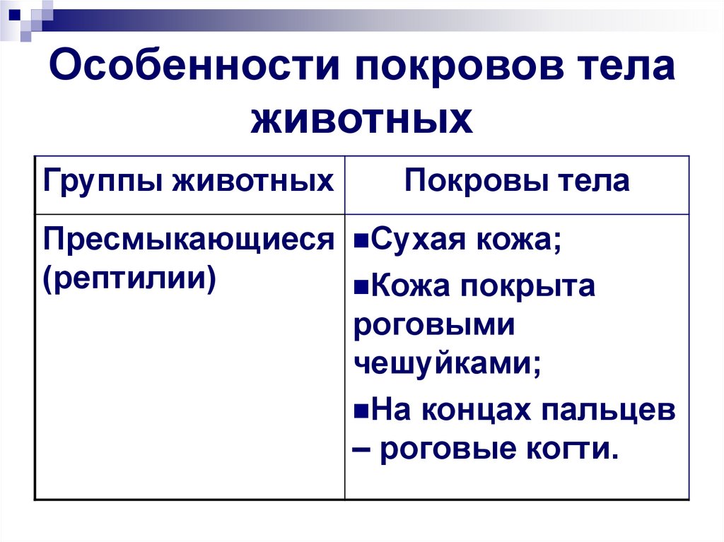 Особенности покровов тела животных