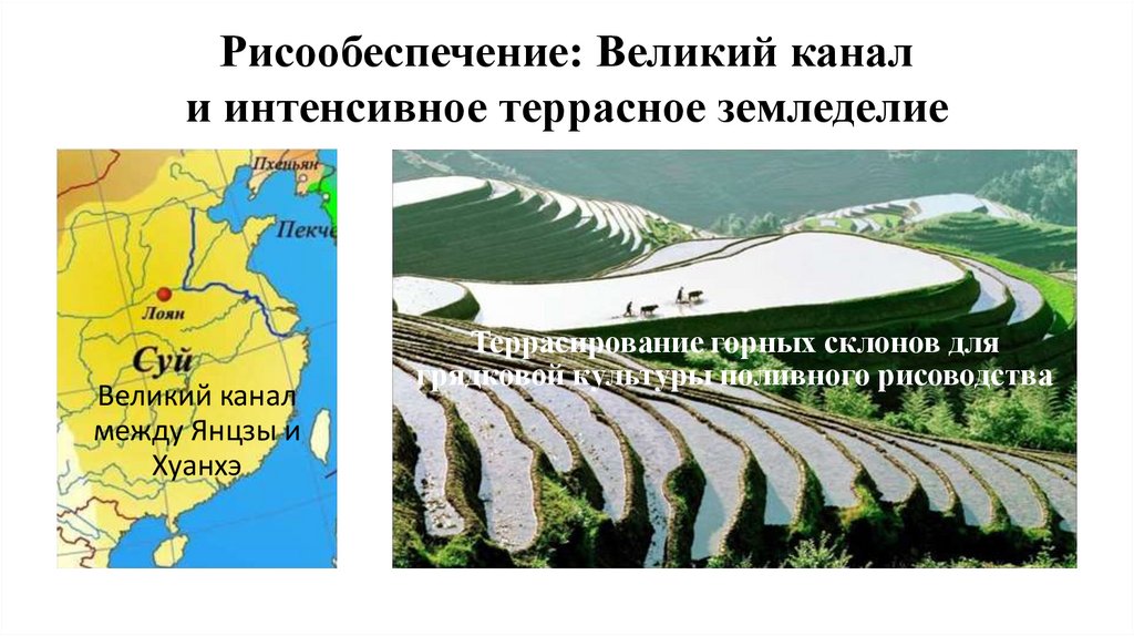 Рисообеспечение: Великий канал и интенсивное террасное земледелие