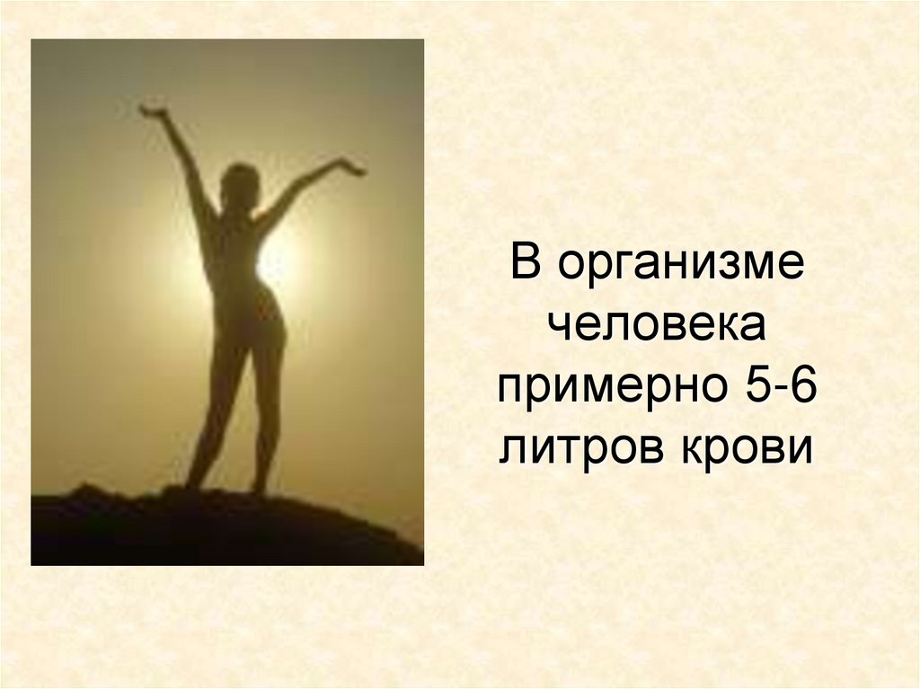В организме человека примерно 5-6 литров крови