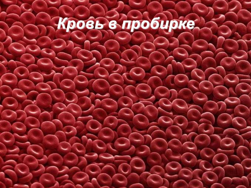 Кровь в пробирке