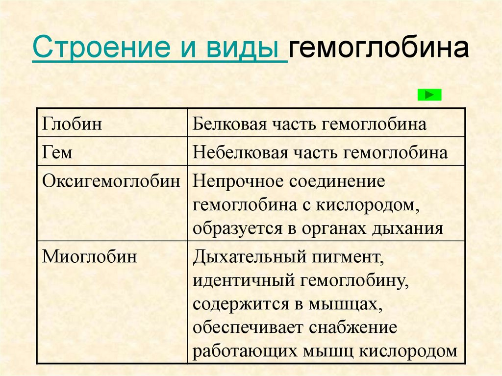 Строение и виды гемоглобина