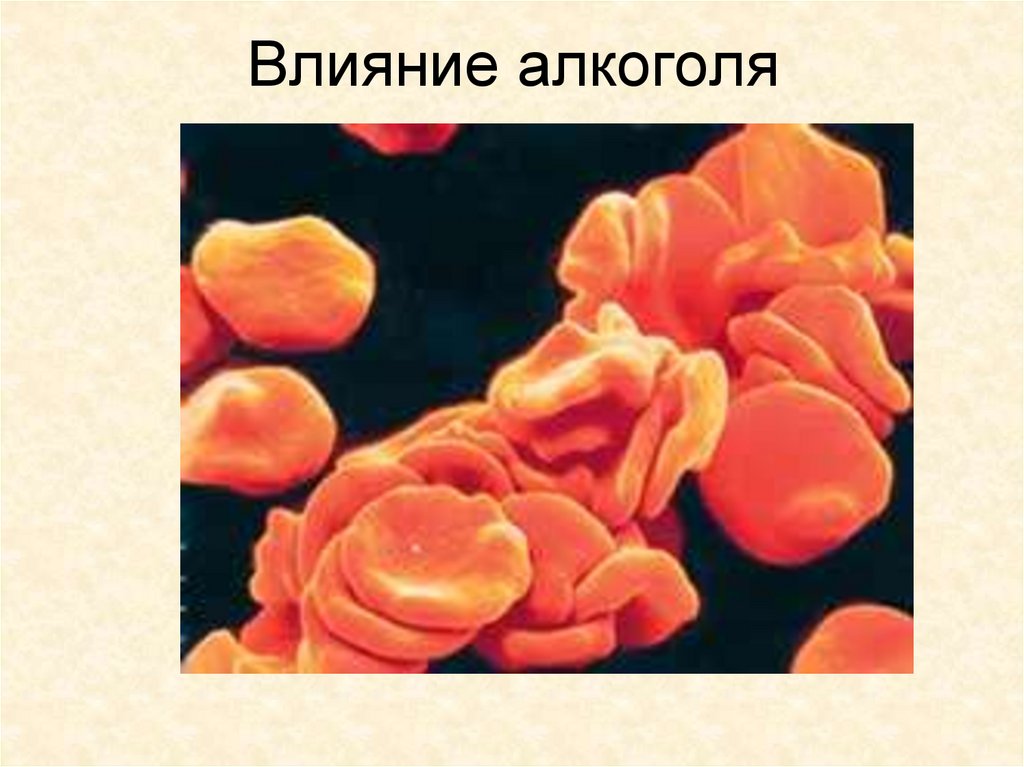 Влияние алкоголя