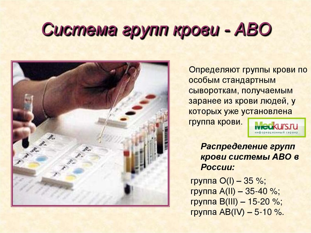 Система групп крови - АВО