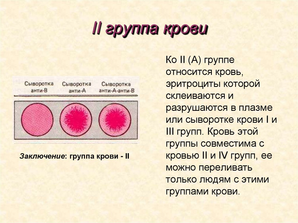 II группа крови