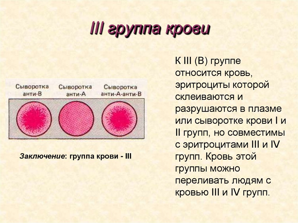 III группа крови